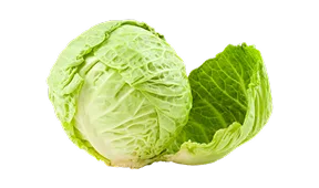 热门赛事数据 - 世界杯投注网